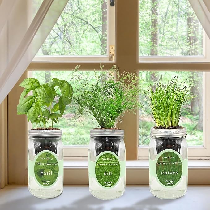 Hydroponic Herb Growing Kit Set, Self-Watering Mason Jar Herb Garden Starter Kit Indoor, Windowsill Herbs Garden, Grow Your Own Herbs from Organic Seeds (Basil, Dill, Chives)