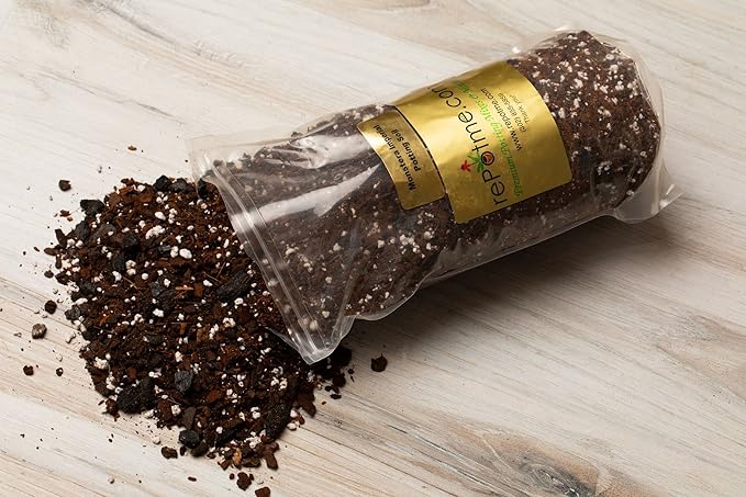 Monstera Imperial Houseplant Potting Soil Mix by rePotme - Standard Bag (8 Quarts)