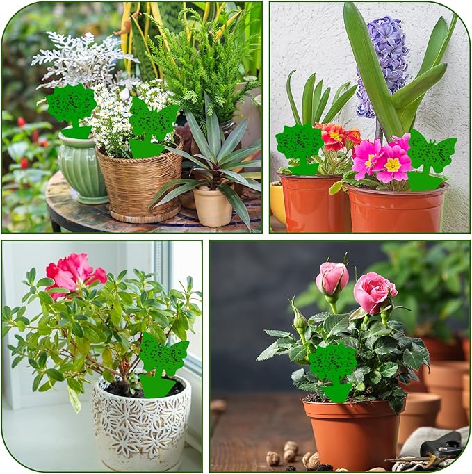 Fruit Fly Traps, 100 Pack Green Sticky Traps, Fungus Gnat Traps, Plant Fly Stickers for Indoor and Outdoor Use Protect The Plant