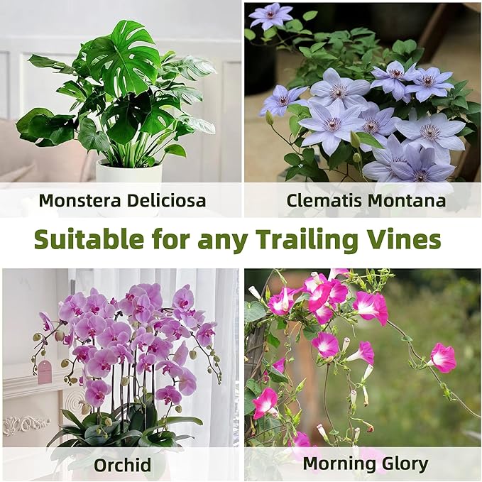 Avalution 20 Pack Bamboo Trellis for Climbing Plants Indoor, 16 Inch Garden Ladder Trellis for Potted Plants, Fan-Shaped Small Plant Support Trellis for Houseplants Ivy Hoya Vine Monstera