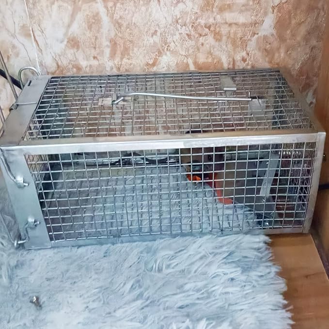 SZHLUX 2-Pack Humane Rat Trap, Mouse Traps Work for Indoor and Outdoor,Small Rodent Animal-Mice Vole Chipmunk Hamsters Live Cage,Catch and Release(SZ-SL3616D2S)