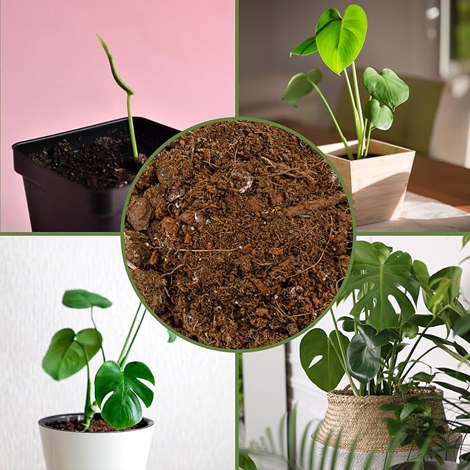 Monstera Houseplant Potting Soil Mix (8 Quarts), Custom Blend for Growing and Repotting
