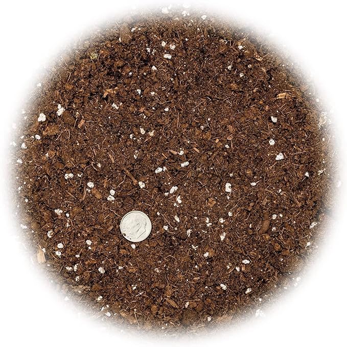 Citrus Tree Potting Soil Mix, Special Blend for Indoor Oranges, Lemons, Limes and More - (4 Quart Bag)