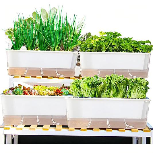 FAMZ Self Watering Pots - 3 Pack Transparent Rectangular Planting Pots for Indoor Plants - Suitable for Growing African Violets, Fruits, Vegetables, Flowers
