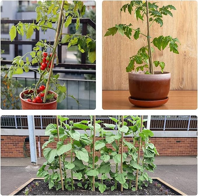 1/2" D 4 Feet Bamboo Stakes 50 Pack, Thicker Heavy-Duty Plant Stakes, Natural Garden Stakes for Bean, Tomato, Bean, Flowers,Trees Potted and Climbing Plant Support