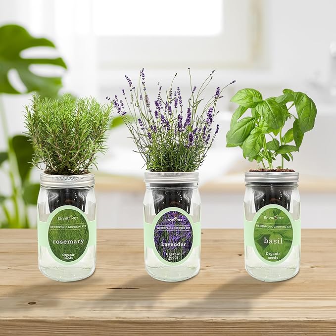 Hydroponic Herb Growing Kit Set, Self-Watering Mason Jar Herb Garden Starter Kit Indoor, Grow Your Own Herbs from Seeds (Lavender, Rosemary & Basil)
