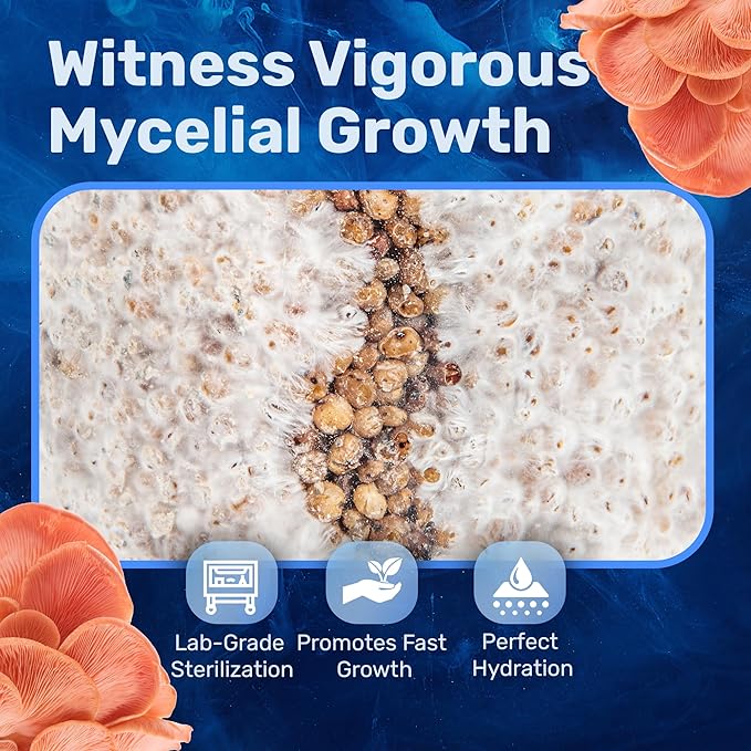Surfin' Spores Mushroom Growing Grain Jars, Sterilized Hydrated Grain Spawn | 32 oz Glass Jars w/Self-Healing Injection Ports & Filter | Milo, Oyster Shell, & Gypsum Blend | 1 lb Per Jar (Two Pack)