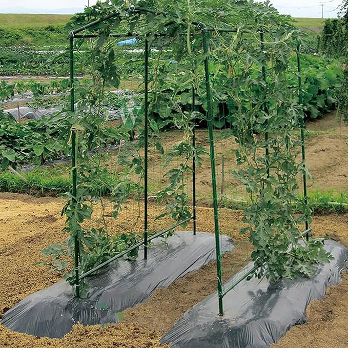 Xiny Tool Garden Stakes, 25 Pack Steel Plant Garden Tomato Stakes with Plastic Coat for Climbing Plants (25 Pack 58 Inch)