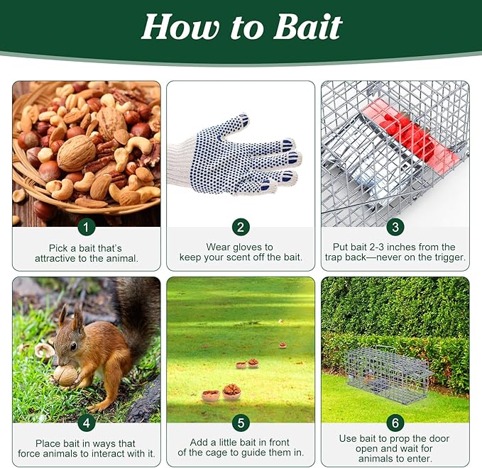 2 Pack Humane Rat Trap, Foldable Single Door Metal Mouse Cage with 2 L-Shaped Rods for Small Squirrel Raccoon Feral and Other Small Live Animals, Easy to Catch and Release, Work for Indoor Outdoor