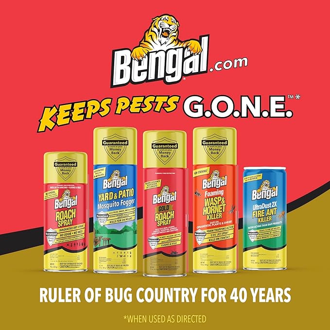 Bengal Gold Roach Spray - Odorless, Stain-Free Bug Spray for Home - Prevents Reinfestation for Up to 6 Months - 11 oz, 2 Pack