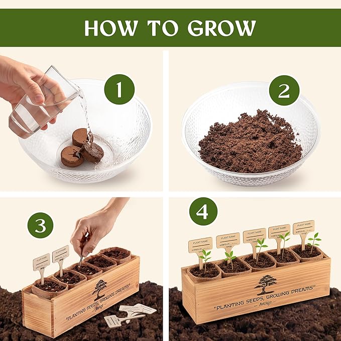 Bonsai Tree Kit for Beginners – 5X Unique Japanese Bonzai Trees | Complete Indoor Starter Kit for Growing Plants with Bonsai Seeds, Tools & Planters – Gardening Gifts for Women & Men