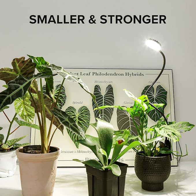 Plant Grow Lights, Clip on Grow Light for Indoor Plants, Full Spectrum LED Plant Lights for Indoor Growing with Timer，4-Level Dimmable for Growth Small Grow Lamps 2 Pack