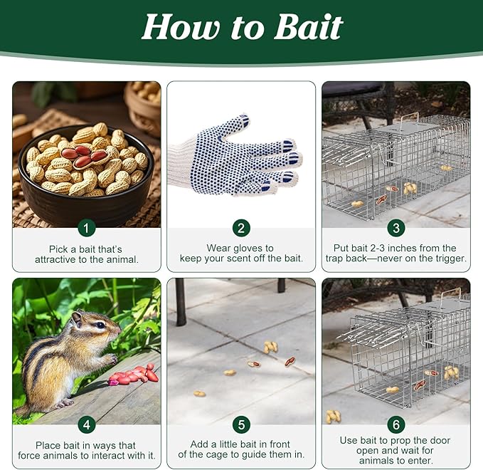 Humane Animal Trap, Foldable Medium Live Cage Traps for Cats Rabbits Racoons Beavers Groundhogs Foxes Armadillos and Other Live Animals, Easy to Catch and Release, Work for Indoor Outdoor