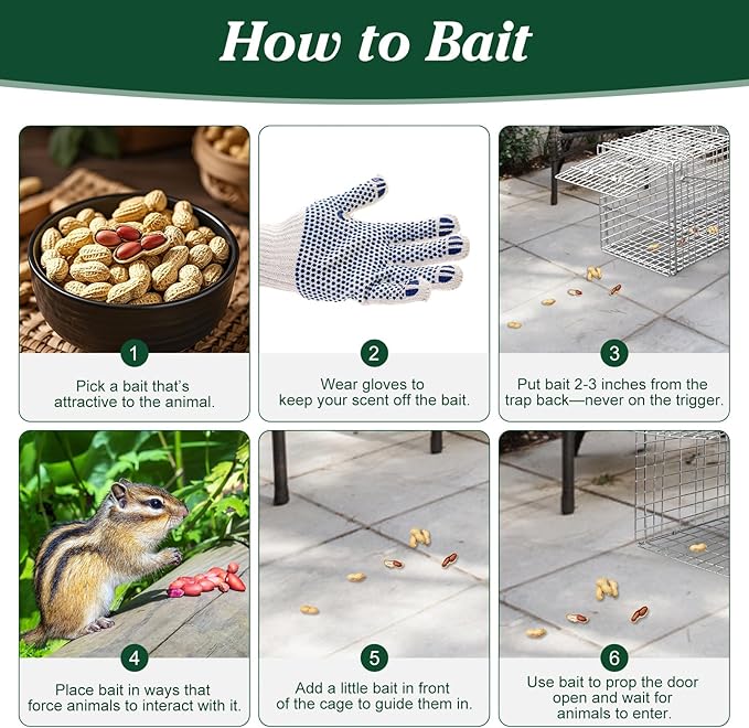 Humane Animal Trap, 30.5"x11.8"x11" Foldable Large Live Cage Traps for for Raccoons Beavers Groundhogs Foxes Armadillos and Other Live Animals, Easy to Catch and Release, Work for Indoor Outdoor