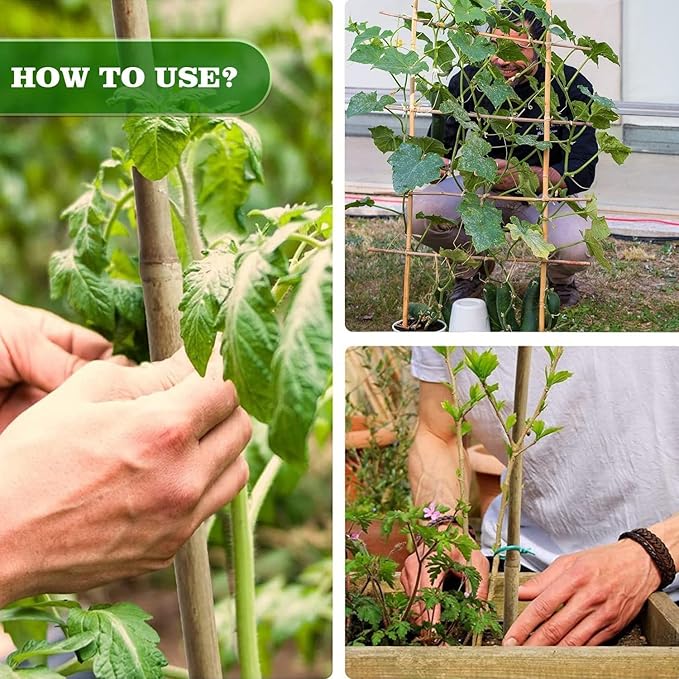 1" D 8 Feet Bamboo Stakes 50 Pack, Thicker Heavy-Duty Plant Stakes, Natural Garden Stakes for Bean, Tomato, Bean, Flowers,Trees Potted and Climbing Plant Support