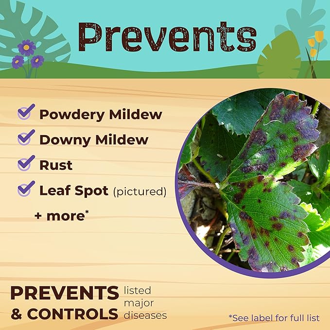 Bonide Captain Jack's 12 oz Neem Max Ready-to-Use Spray for Houseplants Indoors