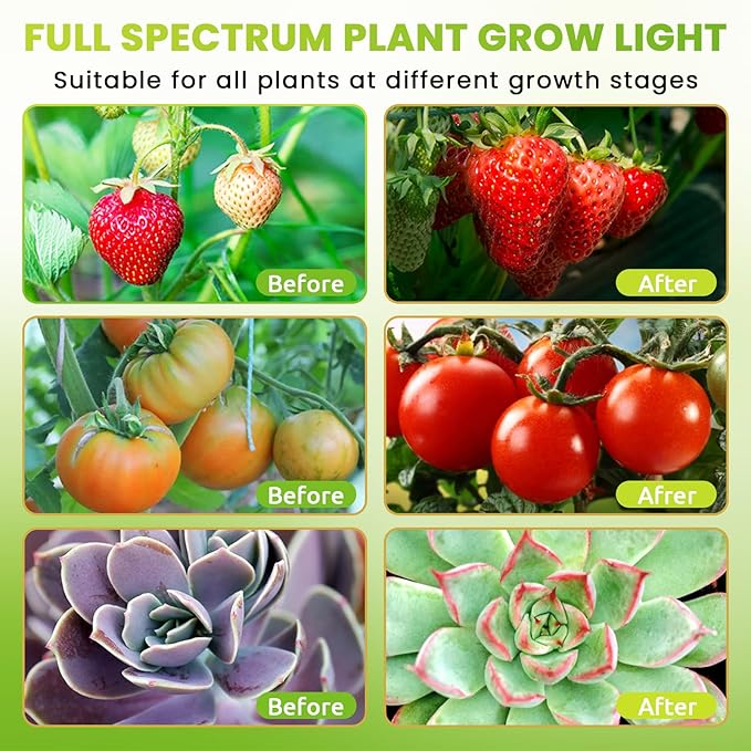 bseah Plant Lights for Indoor Plants, Full Spectrum Grow Lights, Auto ON & Off, Dimmable Lightness (1 Pack)