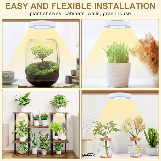 Grow Light for Indoor Plants, 96 LEDs Full Spectrum Halo Plant Light with Auto On/Off Timer (4/8/12H), 10-Level Dimmable, 3 Lighting Modes for Small Plants, Succulents (White, Dual Head)