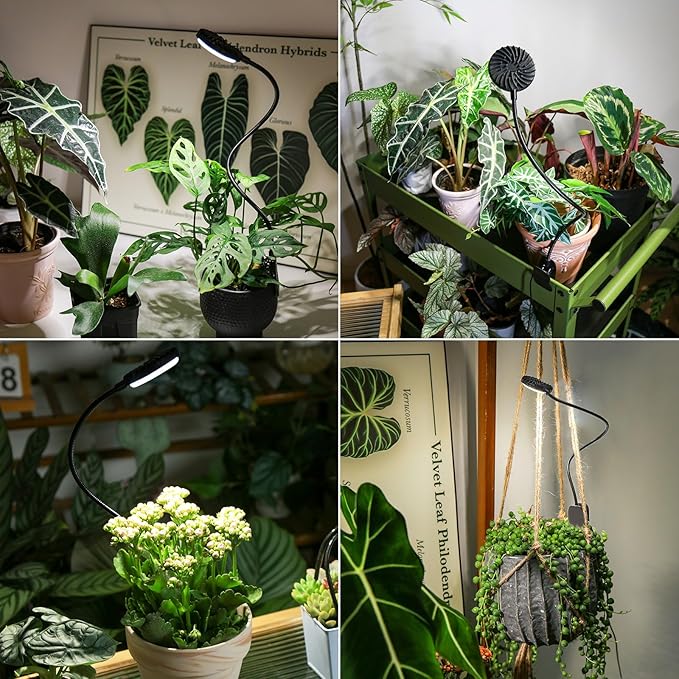 Plant Grow Lights Indoor, Pot Clip On Grow Light for Indoor Growing, Full Spectrum LED Plant Growing Lamp with Auto Timer, 12W 4000K Plant Light for Growth with 4 Levels Dimmable Black, 3 Pack