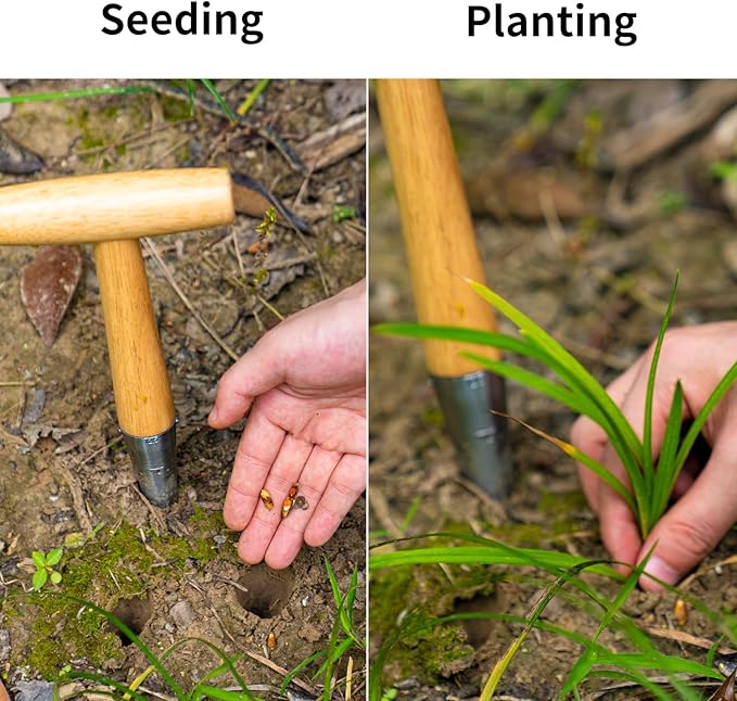 FLORA GUARD Hand Dibber Garden Tool, Seed Planter Tool with Wood Handle for Sowing Seed - 5" Seed Dispenser for Planting Steel Garden Dibber, Transplanting Plants,Planting Bulb,Digging