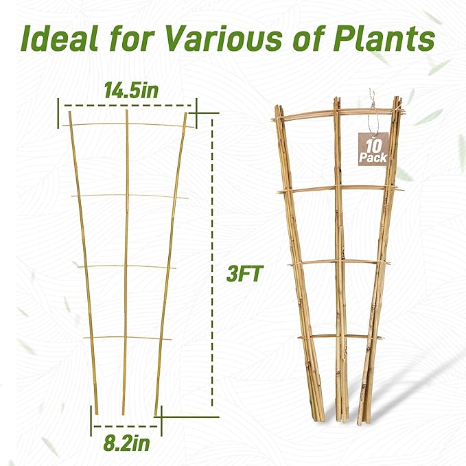 Avalution 10 Pack Bamboo Trellis for Climbing Plants, 3 FT Garden Ladder Trellis for Potted Plants Indoor, Fan-Shaped Small Plant Support Trellis for Houseplants Ivy Hoya Vine Monstera