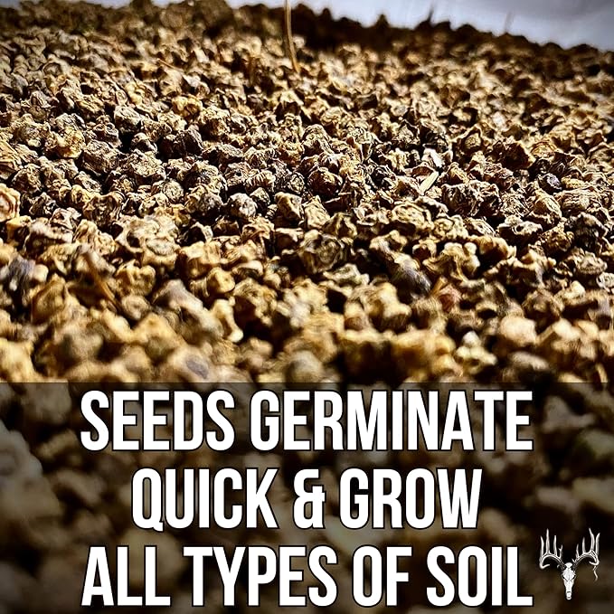Dwight’s Pure Sugar Beet Seed for Deer, 50 LB Bulk, Planting Seeds Grow Whitetail & Turkey Hunting Food Plot Attractants, Winter Root Crop & Cold Tolerant Forage Feed Wildlife, No Coat