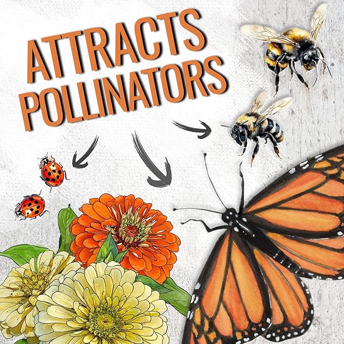 Seed Needs Zinnia Seeds for Planting California Giants Zinnias - Collection of 9 Individual Heirloom Seed Packets - Grow a Butterfly Garden to Attract Butterflies, Bees & Other Pollinators