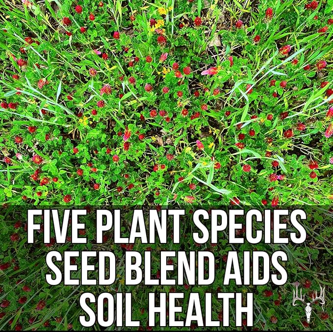 Branson’s Buffalo Blend, 25LB Bulk, Whitetail Food Plot Seed for Deer, Turkey, Pheasant, Dove, Elk & Duck, Plant Seeds Grow Forage to Feed & Attract Wildlife to Hunting Plots, No Till