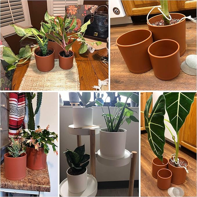 D'vine Dev 4 Inch 5 Inch 6 Inch, Set of 3 Plastic Planter Pots for Plants with Drainage Hole and Seamless Saucers, Terracotta Color, Small, 74-V-C-1