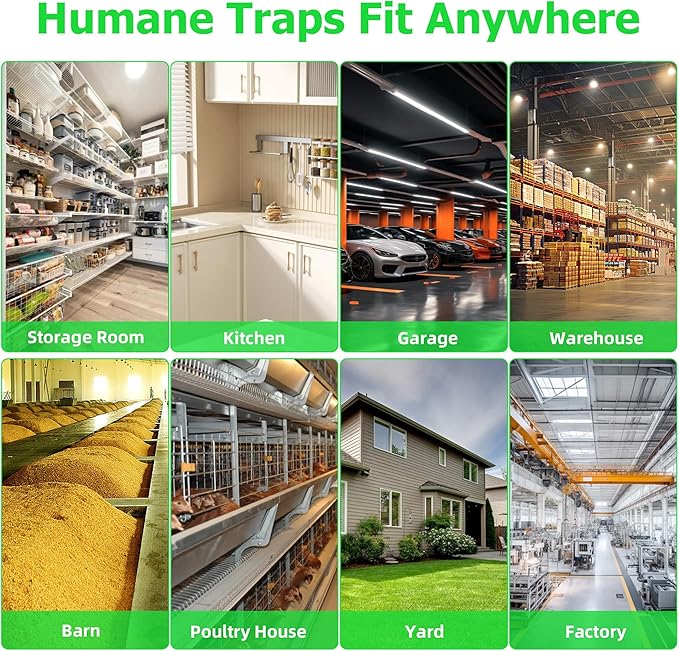 Humane Rat Traps 2-Pack, No Kill Small Animal Mouse Squirrel Cage Traps, Vole Mice Live Cage Catch and Release, Chipmunk Rodent Trap Mouse Traps That Work for Indoor and Outdoor