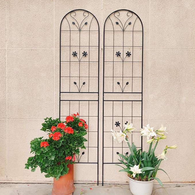 4 Pack Metal Garden Trellis 86.7" Tall Outdoor Climbing Plant Support for Roses, Flowers, Rustproof Durable Black Galvanized Tube, Lawn Garden Fence Decor Screen (4, Daisy-86.7" H)