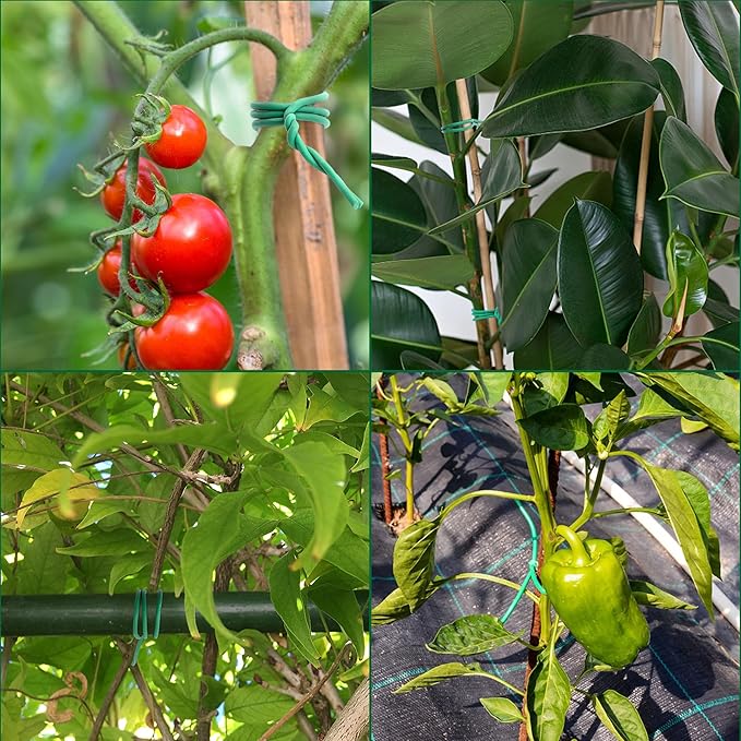 YMHB 120 Feet Green Soft Twist Tie Tomato Plant Tie, Garden Wire Green Twist Garden Ties for Supporting Plants and Home Organizing