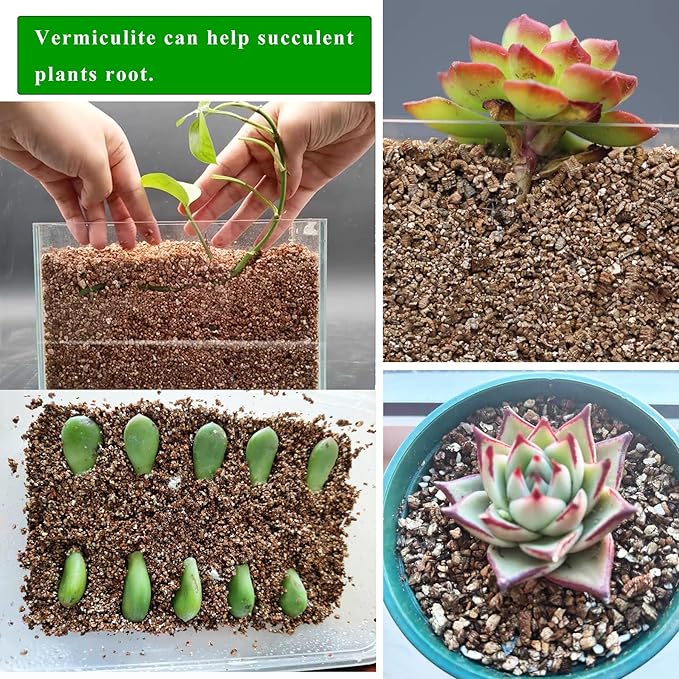 10QT Organic Vermiculite for Plants, Horticultural Soil for Potted Plants, Coarse Hydroponic for Succulent Orchid Gardening Reptiles
