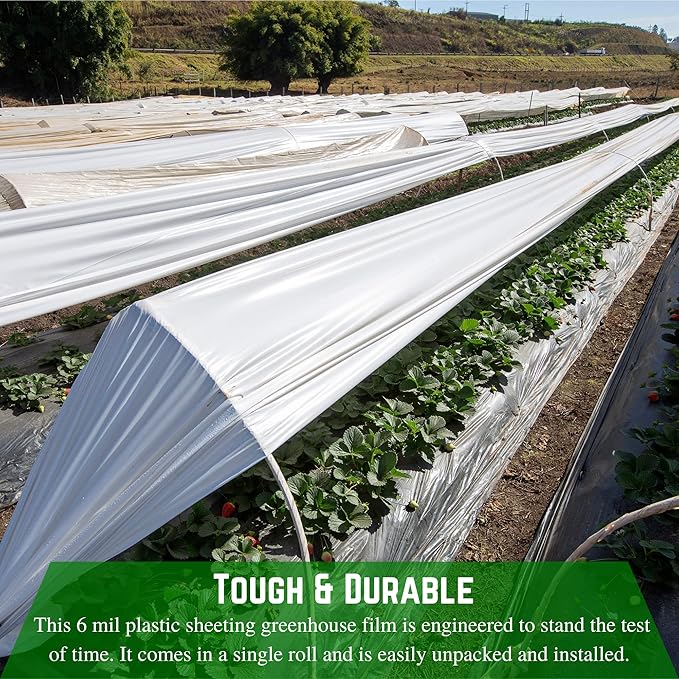 Farm Plastic Supply - White Greenhouse Plastic Sheeting - 6 mil - (50' x 16') - 4 Year UV Resistant Poly Greenhouse Film, 55% Light Transmission Hoop House Cover for Gardening, Agriculture