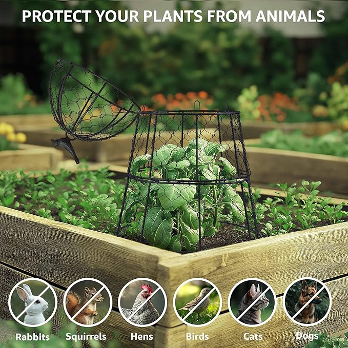 Pack of 6 Heavy-Duty Chicken Wire Plant Cloches – Rustproof Garden Protectors and Plant Cages for Vegetables and Flowers – Safeguard Plants from Deer and Critters – 20” x 12”