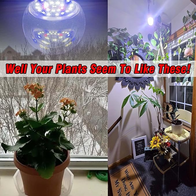 Full Spectrum Grow Light Bulbs 9W E26 A19 Sun Plant Growing Bulb 100W Equivalent with 5000K Red Blue LEDs for Indoor Small Plants Growing, Indoor Greenhouse, Indore Garden, Hydroponics, School, 1 Pack