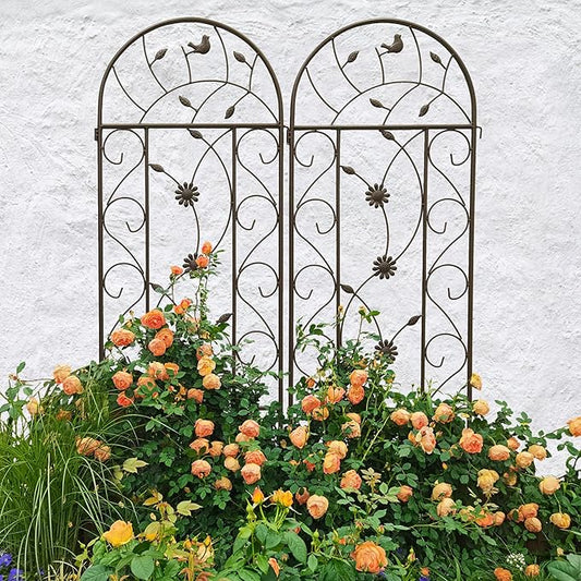 2 Pack Metal Garden Trellis for Climbing Plant Rose Stand, Brown Outdoor 86.7'' Tall Flower Support Iron Garden Fence, Brown