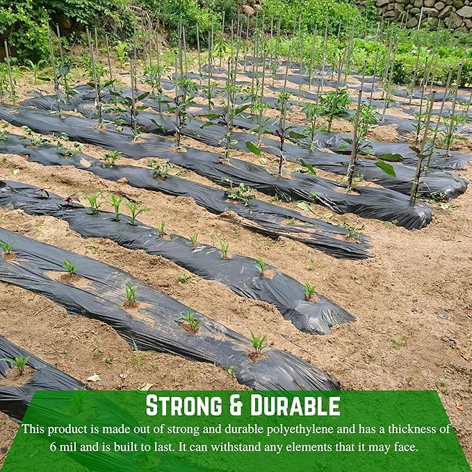 Farm Plastic Supply - Weed Control 6 Mil Black Plastic Sheeting - Heavy Duty Weed Barrier Landscape Fabric for Outdoor Gardens, Non Woven Weed Blocker Fabric, Weed Control (50' x 100')