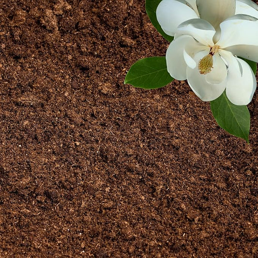 Peat Moss for Plants – Organic Sphagnum Peat Moss for Orchids, Terrariums, Seed Starting, Reptiles & Potting Soil Mix (30 quarts)
