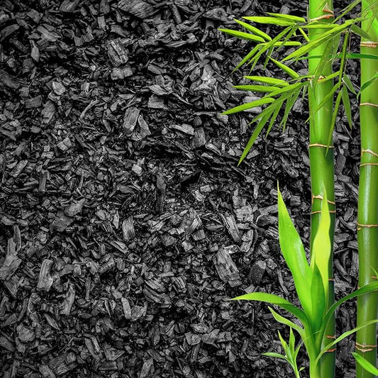 Horticultural Charcoal for Plants – Organic Bio Char Soil Amendment for Terrariums, Indoor Plants & Gardening, Made in USA (20 quarts)