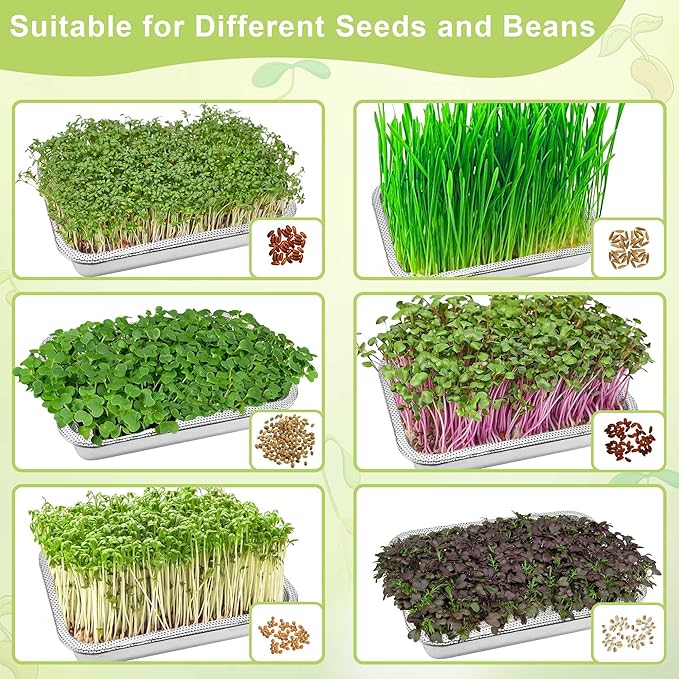 Stainless Steel Sprouts Growing Kit 2-Tier 12.4 inch Trays, Microgreens Growing Kit, Seed Sprouting Tray with Encrypted Mesh Sprouts for Beans Alfalfa Broccoli Wheat Grass