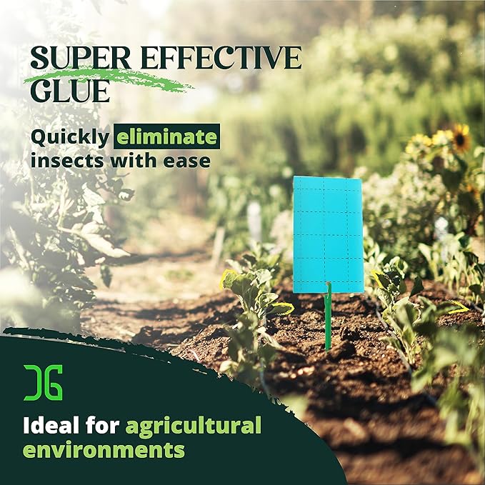 Catchmaster GRO Blue Regular Double Sided Sticky Traps 72PK, Adhesive Bug & Fruit Fly Trap, Pest Control for Home, Farm, Garden, Hydroponics & Greenhouse, Protect Live Plants Indoor & Outdoor