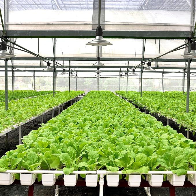 Outdoor LED Grow Lights, Waterproof String Plant Growing Light, Full Spectrum Growth 12 Light, Suitable for Garden, Farm, Flower, Seedling Greenhouse Grow Light