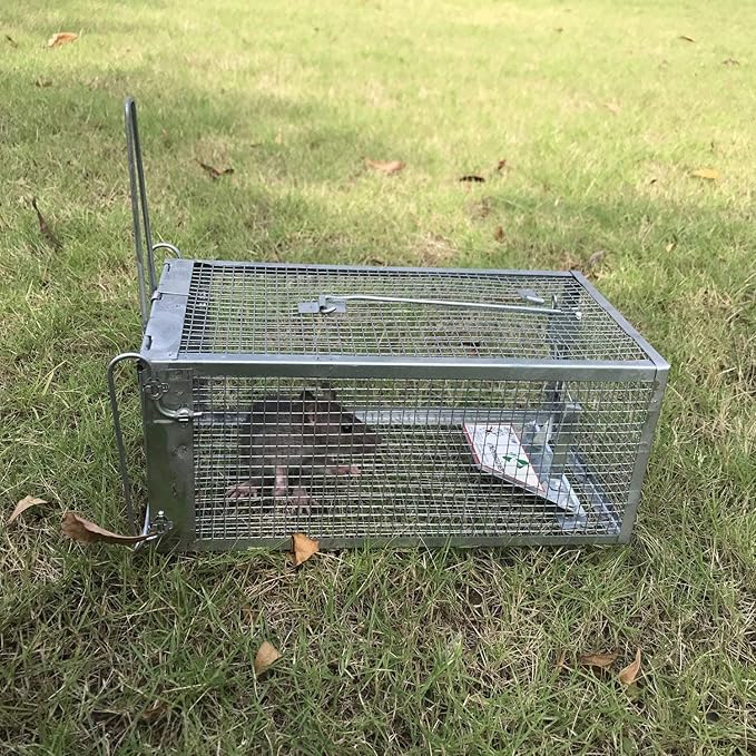 Kensizer 2-Pack Humane Rat Trap, Chipmunk Rodent Trap That Work for Indoor and Outdoor Small Animal - Mouse Voles Hamsters Live Cage Catch and Release