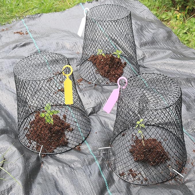 20Pcs Chicken Wire Cloche Plant Covers, 9.2×9.2 Inches Plant Protectors from Animals, Metal Garden Plant Cages for Outdoor Plants, Keep Rabbits, Squirrels, Birds Out