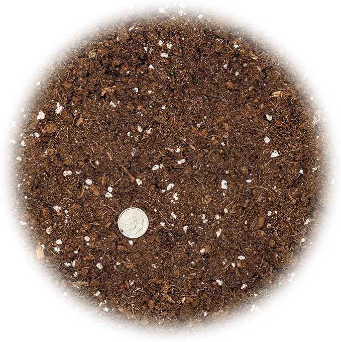Money Tree Potting Soil Mix for Planting or Repotting Guiana Chestnut, Soil Blended to Properly Grow Money Tree Plants (4 Quart Bag)
