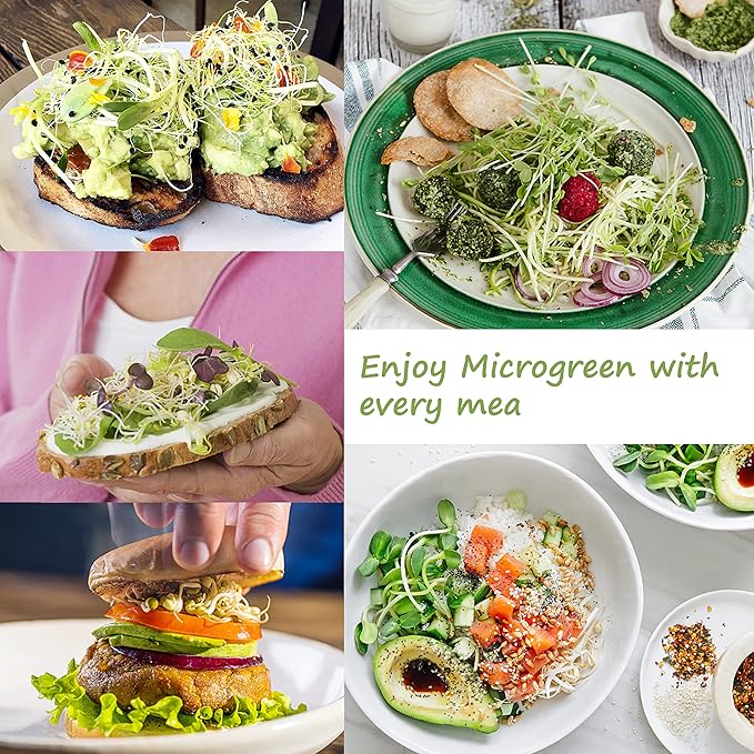 Microgreen Growing Trays, LUVCSOY Sprouting Tray with Humidity Dome, 1.2 mm Small Mesh Holes, BPA Free, Sprouter Kit for Growing Mirco Seeds, Like Broccoli, Alfalfa, Radish, Clover - 4 Pack | Colorful