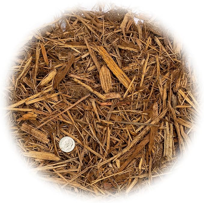 Premium Himalayan Cedar Potting Soil Mix - Perfect Balance of Nutrients, Drainage, and Aeration for Healthy Cedar Trees - 4 Quart