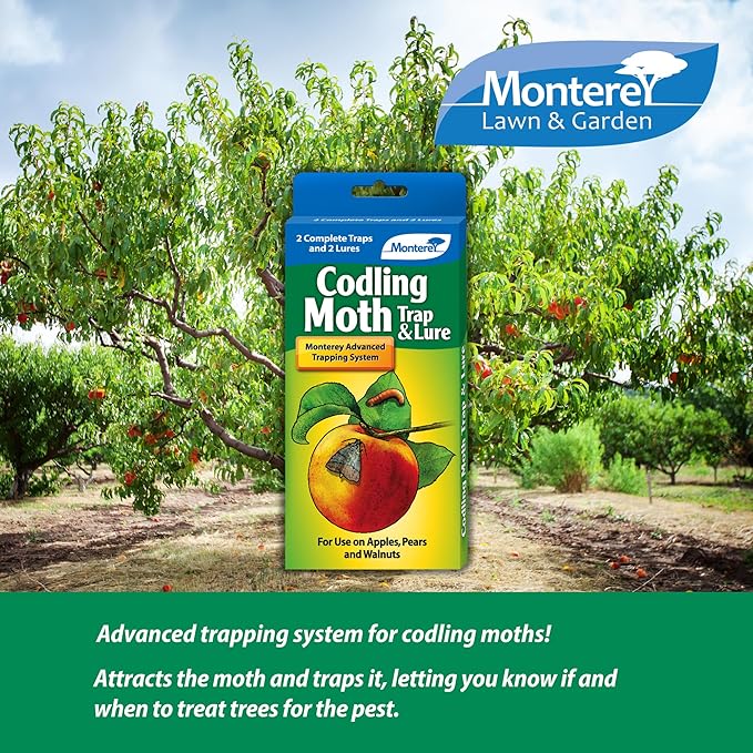 Monterey Codling Moth Trap & Lure - 2 Traps/2 Lures
