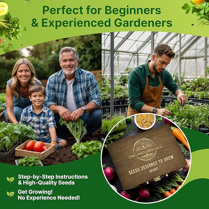 Medicinal & Tea Herb Seeds Variety Pack for Indoor & Outdoors - 75 Variety Pack. Non-GMO Heirloom Garden Seeds: Rosemary, Cilantro, Basil, Oregano, Parsley, Dill, Lavender, Catnip, Dill, Calendula